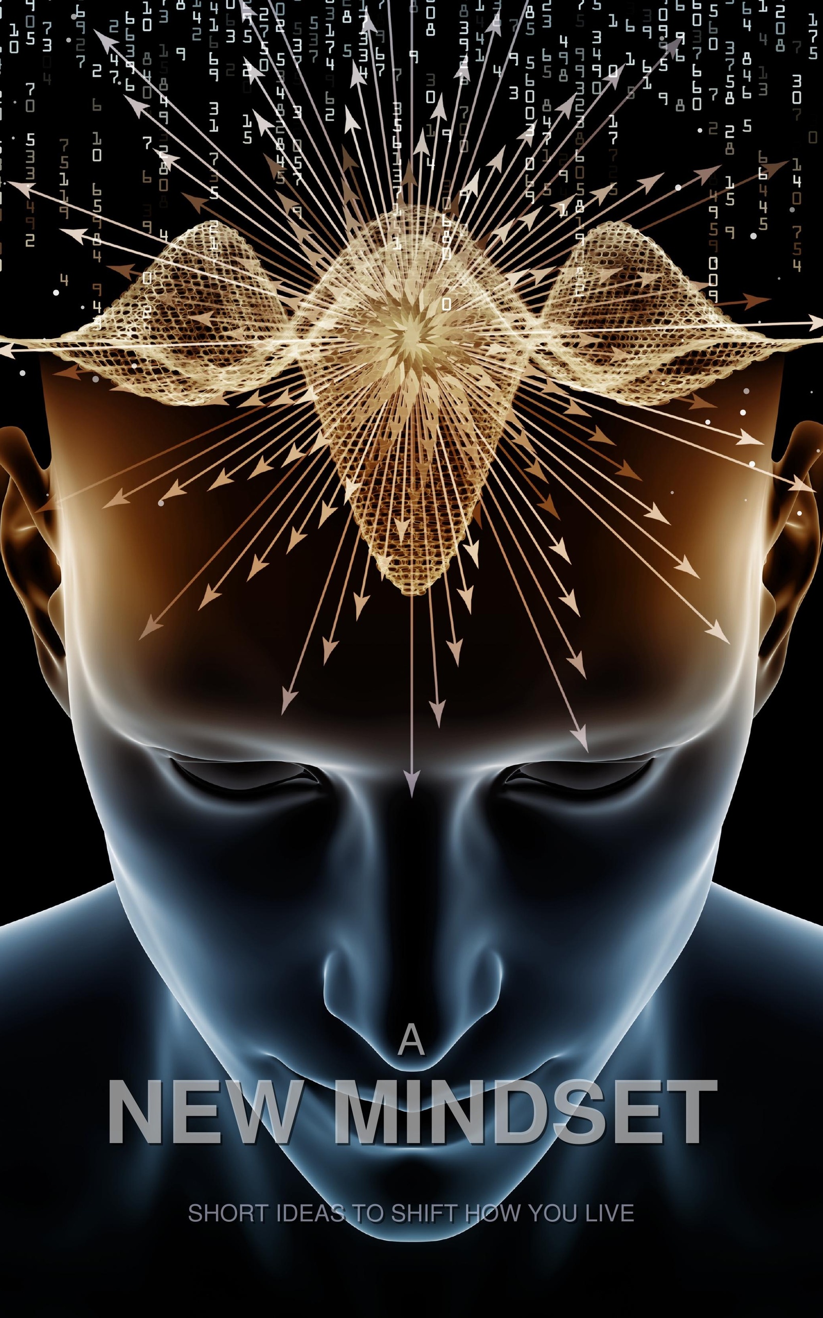 Couverture A New Mindset
